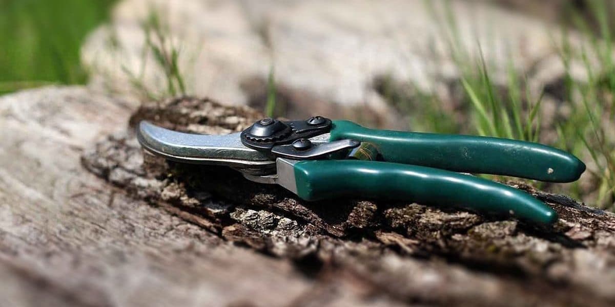 CALENDARIO DE PODA DE JARDÍN