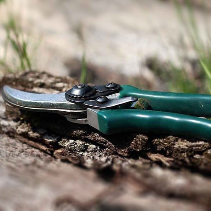 CALENDARIO DE PODA DE JARDÍN