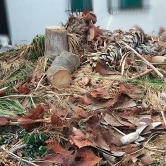 Prune-residue-collection COLLECTION OF PRUNING WASTE