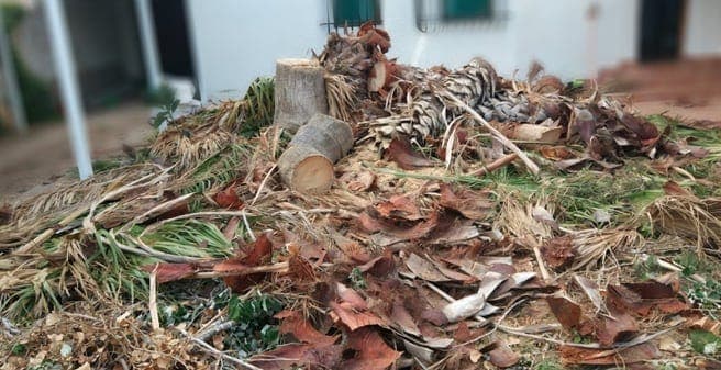 RECOGIDA DE RESTOS DE PODA